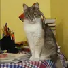 Отзыв от Жанна Ильинская